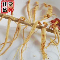 長(zhǎng)白山保鮮參 鮮人參 吉林精選小人參 泡酒 廠家直銷批發(fā)