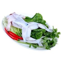 牛蛙鮮活新鮮特大田雞青蛙肉半成品牛蛙腿蛙肉冷凍串商用批發