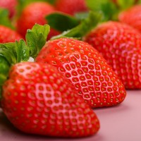 云南茜婭陽光草莓現(xiàn)摘現(xiàn)發(fā)新鮮當季水果大草莓新年年貨禮盒裝大果