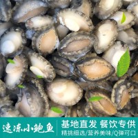 速凍鮑魚批發(fā)不帶殼冷凍小鮑魚肉 海鮮餐飲酒店海產品貝類廠家