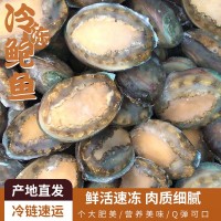 凍干鮑魚6-12頭鮑魚 海鮮水產酒店佛跳墻食材 帶殼活凍大鮑魚批發(fā)