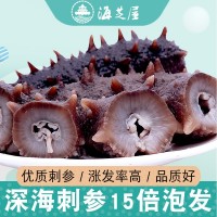 海芝屋大連純淡干海參底播刺參 海參干貨50克裝海參散裝批發(fā) 特產