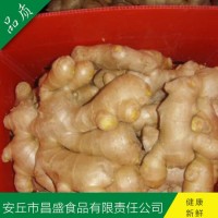 出口歐美、加拿大、荷蘭、英國級保鮮姜、風(fēng)干姜（價格面議）