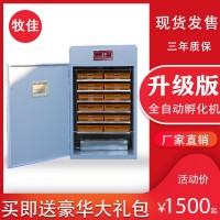 加工生產(chǎn)全自動孵化器 雞蛋孵化機(jī) 鴨蛋孵化設(shè) 鵝蛋孵化