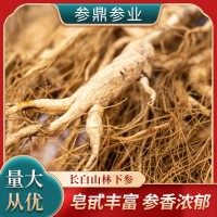 長白山人參林下參產地批發(fā)野山參殘支煲湯泡酒批發(fā)代發(fā)移山參打粉