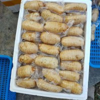 鮮天麻真空保鮮天麻一個一袋，酒店冰鎮天麻片，天麻食材長年供應