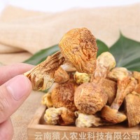 云南特產干貨姬松茸干巴菌批發代理量大從優1000g起批