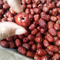 新貨新疆若羌棗灰棗去無核紅棗 營(yíng)養(yǎng)阿膠糕固元膏零食原料