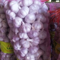 供應(yīng)金鄉(xiāng)太空蒜種，蒜子，紫皮蒜子，白皮蒜子
