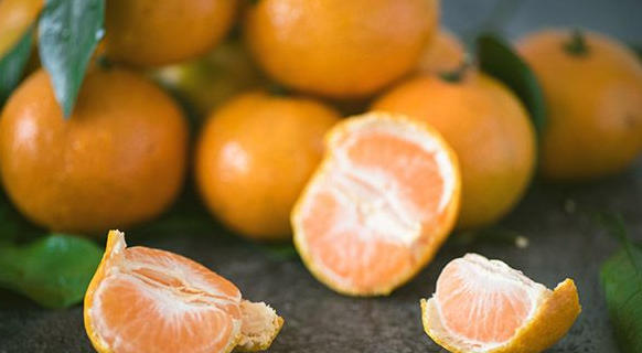 ScreenShot_2026-01-04_163019_814